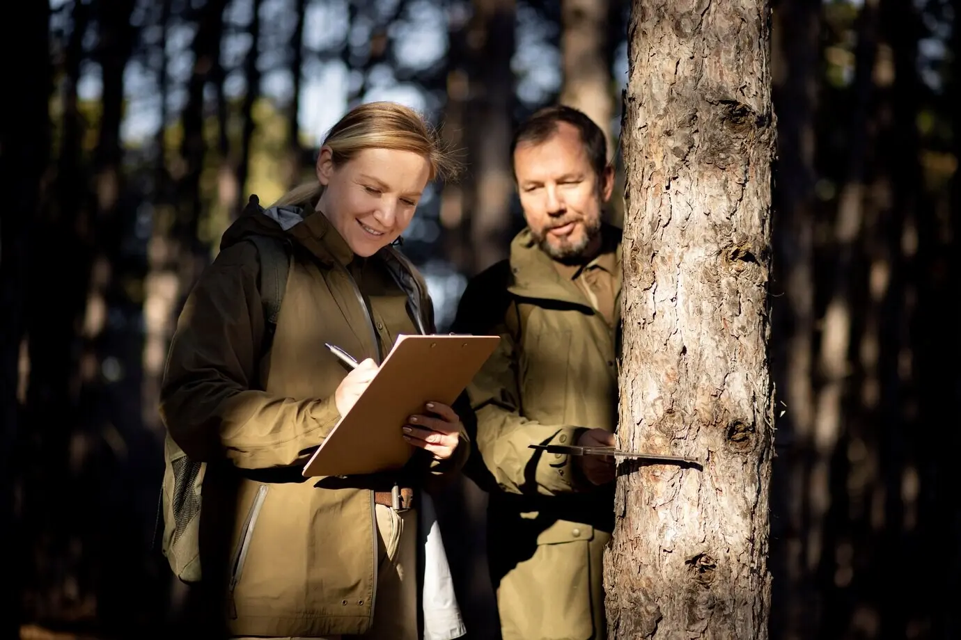 Nahaufnahme von Parkrangern im Wald